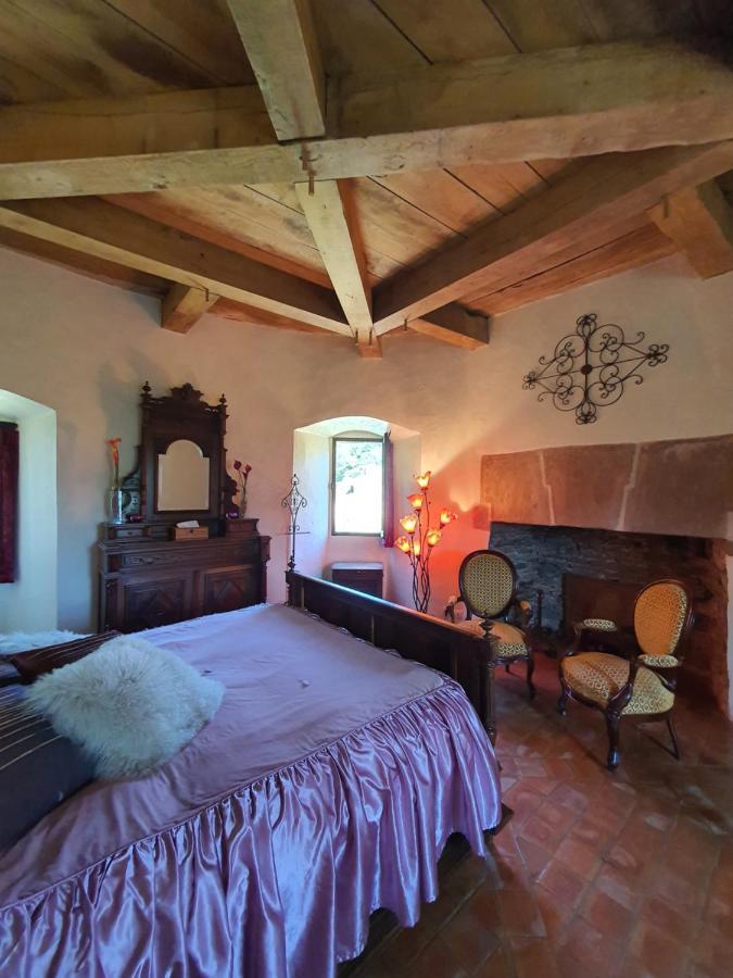Chambre D'Hotes Au Chateau De Belcastel Belcastel  Экстерьер фото