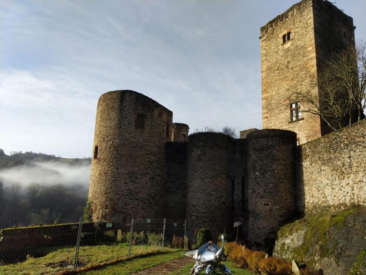 Chambre D'Hotes Au Chateau De Belcastel Belcastel  Экстерьер фото