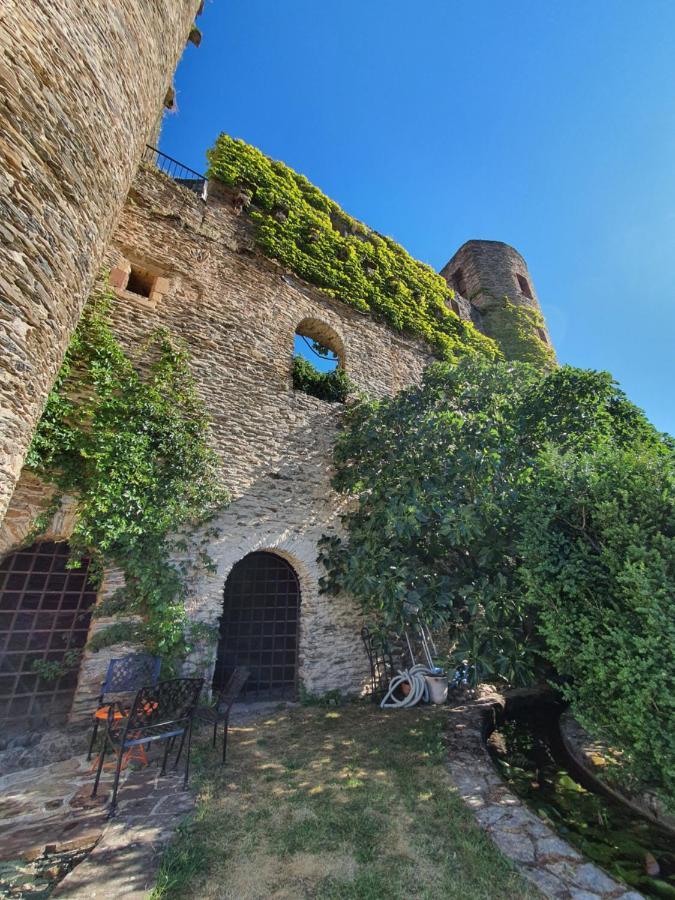 Chambre D'Hotes Au Chateau De Belcastel Belcastel  Экстерьер фото