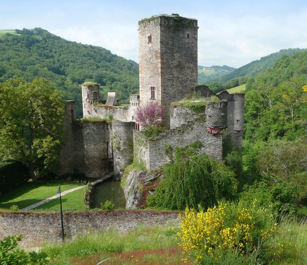 Chambre D'Hotes Au Chateau De Belcastel Belcastel  Экстерьер фото